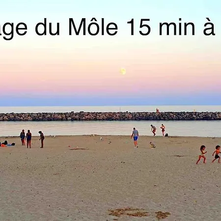 Vue Mer/port Au Centre Port דירה *