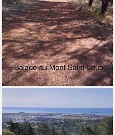 דירה Vue Mer/port Au Centre Port *